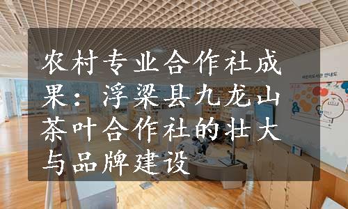 农村专业合作社成果：浮梁县九龙山茶叶合作社的壮大与品牌建设