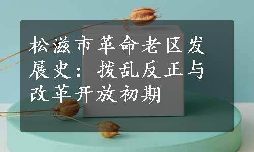 松滋市革命老区发展史：拨乱反正与改革开放初期