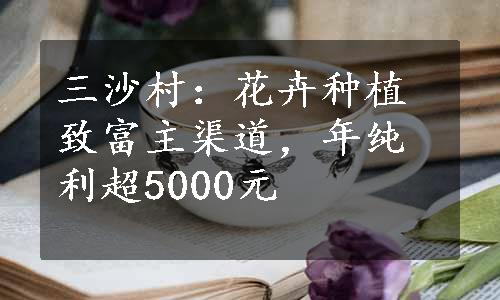 三沙村：花卉种植致富主渠道，年纯利超5000元