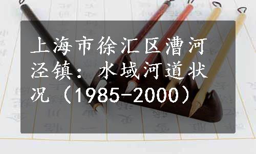 上海市徐汇区漕河泾镇：水域河道状况（1985-2000）