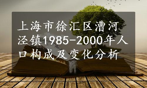 上海市徐汇区漕河泾镇1985-2000年人口构成及变化分析