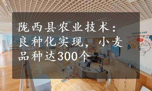 陇西县农业技术：良种化实现，小麦品种达300个