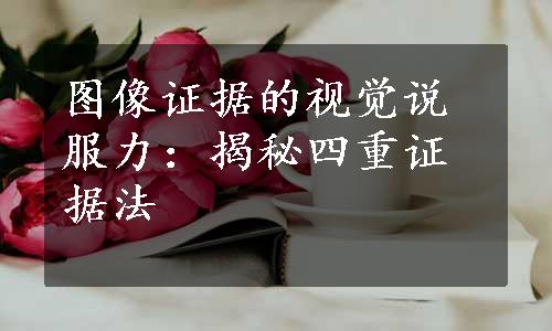 图像证据的视觉说服力：揭秘四重证据法