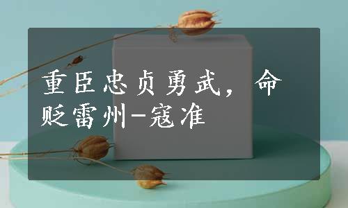 重臣忠贞勇武，命贬雷州-寇准