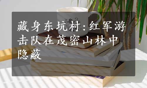 藏身东坑村:红军游击队在茂密山林中隐蔽