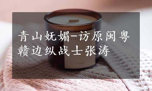 青山妩媚-访原闽粤赣边纵战士张涛