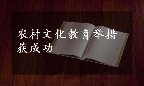 农村文化教育举措获成功