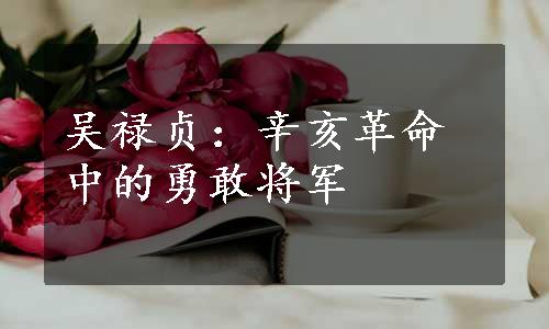 吴禄贞：辛亥革命中的勇敢将军