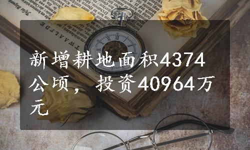 新增耕地面积4374公顷，投资40964万元