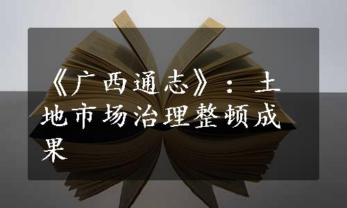 《广西通志》：土地市场治理整顿成果