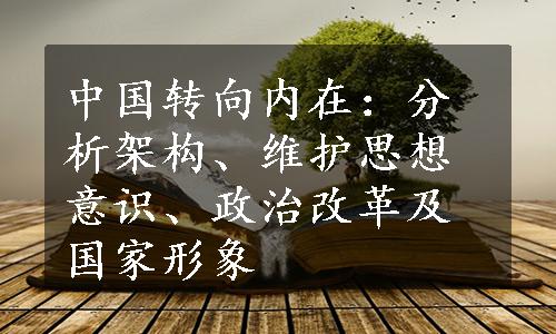 中国转向内在：分析架构、维护思想意识、政治改革及国家形象