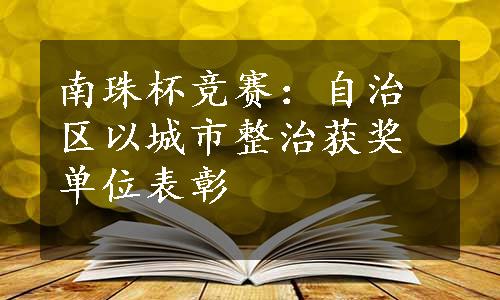 南珠杯竞赛：自治区以城市整治获奖单位表彰