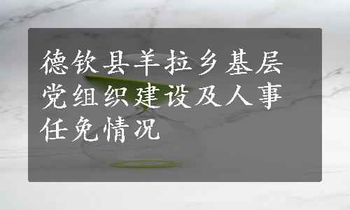 德钦县羊拉乡基层党组织建设及人事任免情况