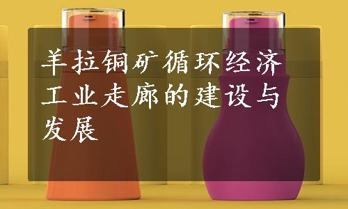 羊拉铜矿循环经济工业走廊的建设与发展