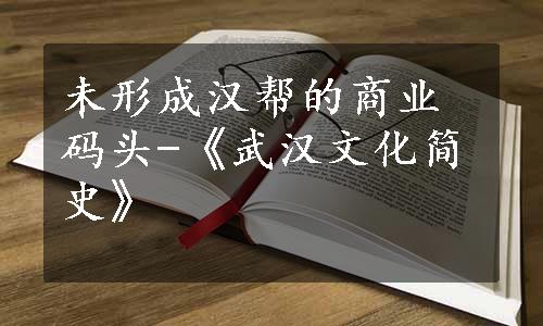 未形成汉帮的商业码头-《武汉文化简史》