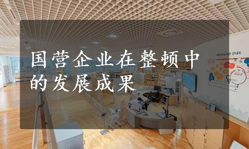 国营企业在整顿中的发展成果