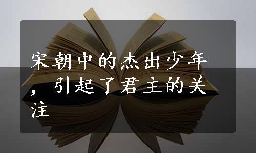 宋朝中的杰出少年，引起了君主的关注