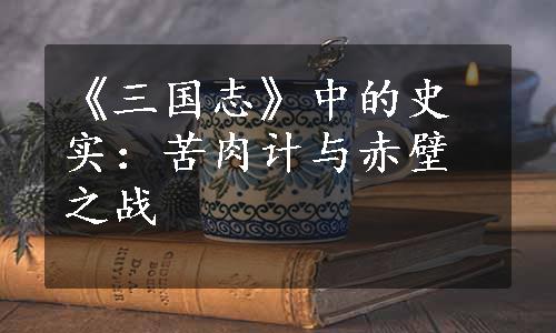 《三国志》中的史实：苦肉计与赤壁之战