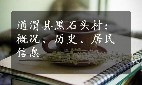 通渭县黑石头村：概况、历史、居民信息