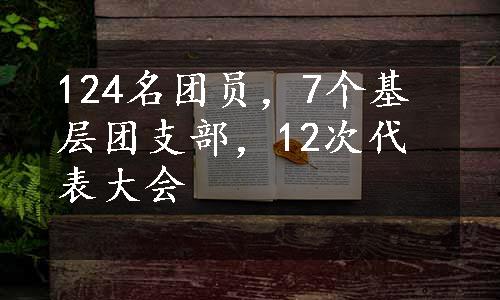 124名团员，7个基层团支部，12次代表大会