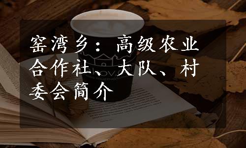 窑湾乡：高级农业合作社、大队、村委会简介