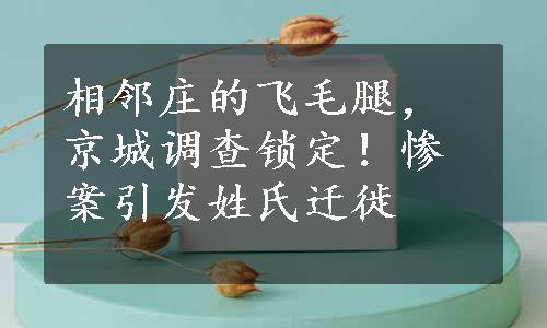 相邻庄的飞毛腿，京城调查锁定！惨案引发姓氏迁徙