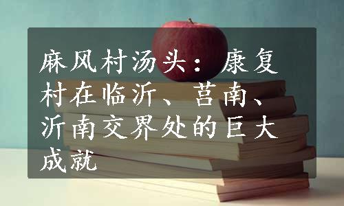 麻风村汤头：康复村在临沂、莒南、沂南交界处的巨大成就