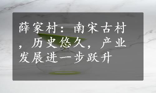 薛家村：南宋古村，历史悠久，产业发展进一步跃升