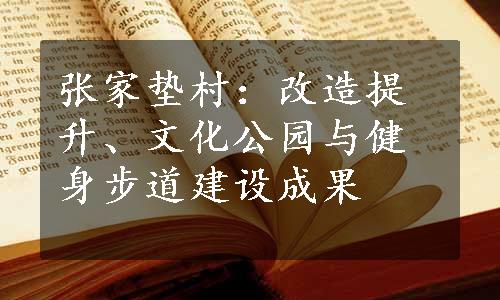 张家垫村：改造提升、文化公园与健身步道建设成果