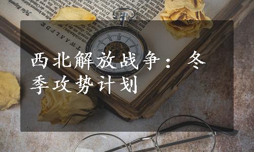 西北解放战争：冬季攻势计划