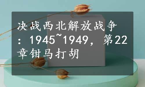 决战西北解放战争：1945~1949，第22章钳马打胡