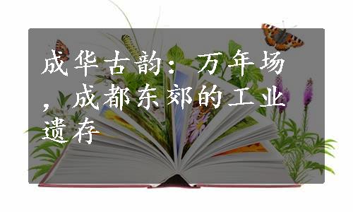 成华古韵：万年场，成都东郊的工业遗存