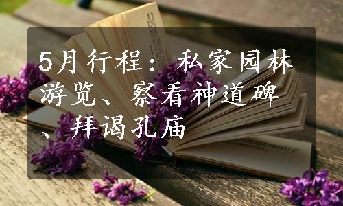 5月行程：私家园林游览、察看神道碑、拜谒孔庙