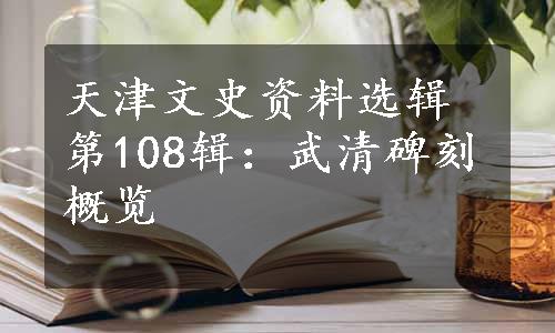 天津文史资料选辑第108辑：武清碑刻概览