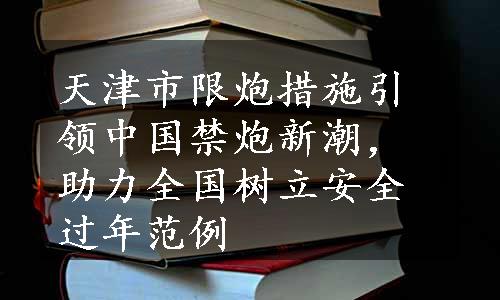 天津市限炮措施引领中国禁炮新潮，助力全国树立安全过年范例