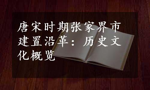 唐宋时期张家界市建置沿革：历史文化概览