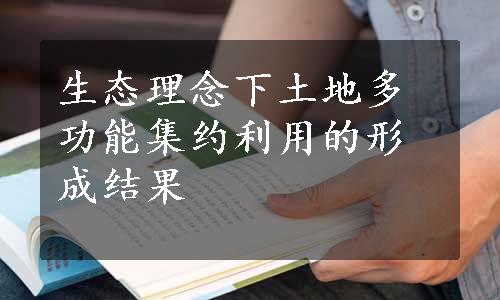 生态理念下土地多功能集约利用的形成结果