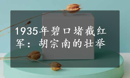 1935年碧口堵截红军：胡宗南的壮举