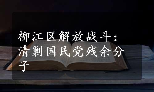 柳江区解放战斗：清剿国民党残余分子