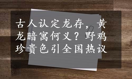 古人认定龙存，黄龙暗寓何义？野鸡珍贵色引全国热议