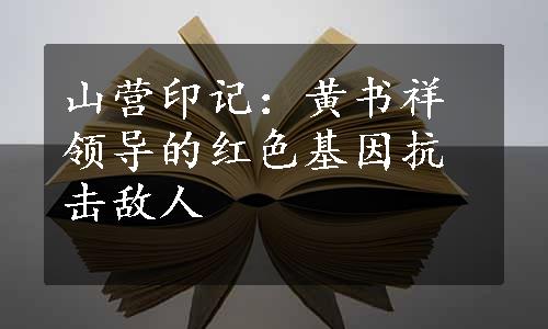 山营印记：黄书祥领导的红色基因抗击敌人