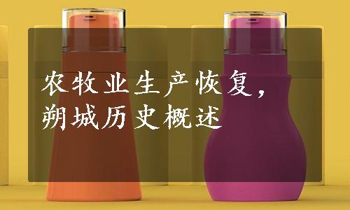 农牧业生产恢复，朔城历史概述