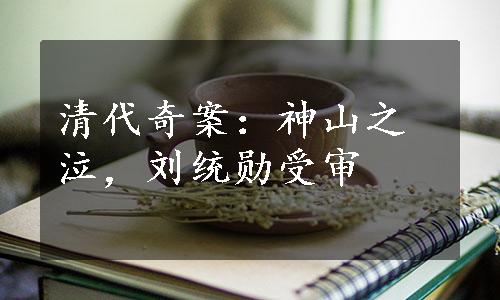 清代奇案：神山之泣，刘统勋受审