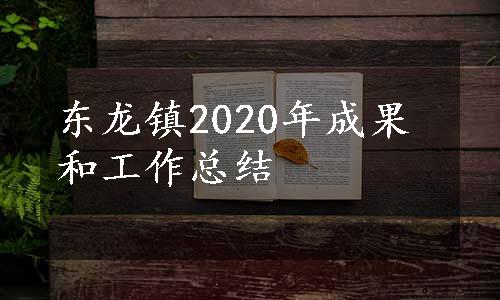 东龙镇2020年成果和工作总结