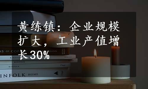 黄练镇：企业规模扩大，工业产值增长30%