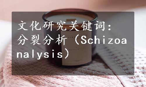 文化研究关键词：分裂分析（Schizoanalysis）