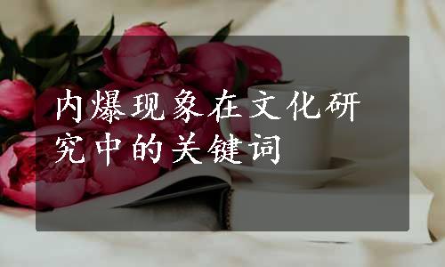 内爆现象在文化研究中的关键词