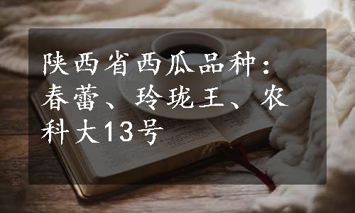 陕西省西瓜品种：春蕾、玲珑王、农科大13号