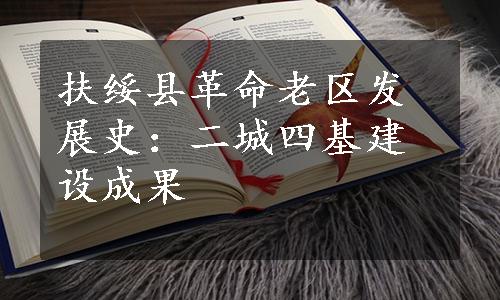 扶绥县革命老区发展史：二城四基建设成果