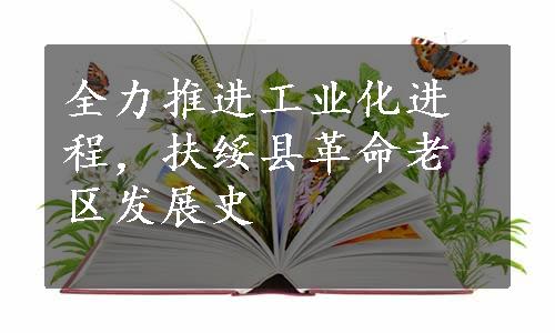 全力推进工业化进程，扶绥县革命老区发展史